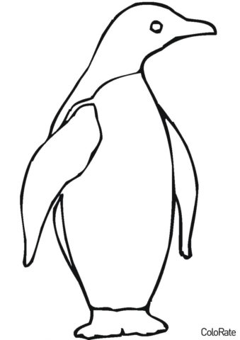 Пингвины распечатать раскраску - Пингвиненок