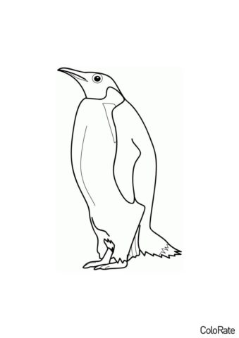 Распечатать раскраску Реалистичный пингвин - Пингвины
