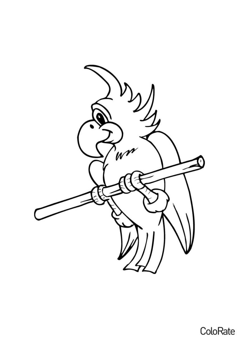 Раскраска Веселый какаду распечатать - Попугаи