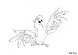 Бесплатная раскраска Веселый попугайчик распечатать на А4 - Попугаи