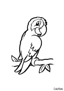Попугай Кеша (Попугаи) распечатать раскраску