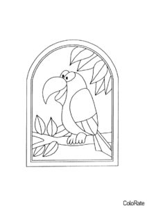 Птичка в окне (Попугаи) распечатать разукрашку
