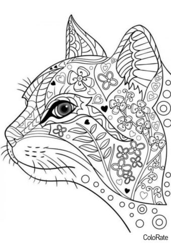 Антистресс распечатать раскраску - Голова кошки