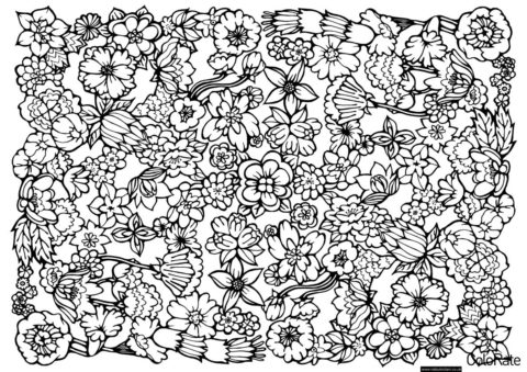 Множество мелких цветочков (Антистресс) бесплатная раскраска на печать