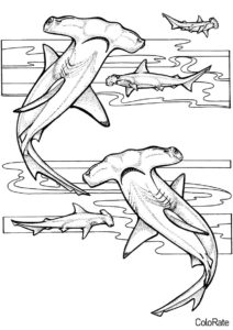 Раскраска Акула-молот с друзьями распечатать на А4 - Акула