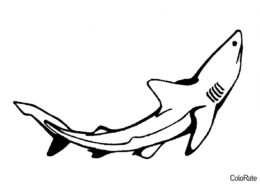 Всплывающая акула (Акула) бесплатная раскраска на печать