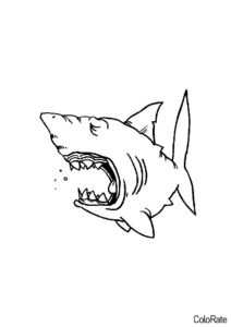 Зевок акулы - Акула раскраска распечатать на А4