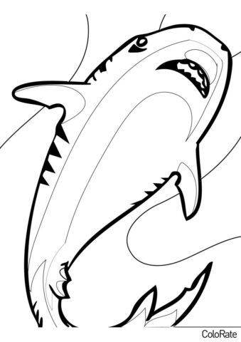 Проплывающая акула распечатать и скачать раскраску - Акула