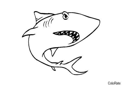 Разукрашка Разъяренная акула распечатать и скачать - Акула