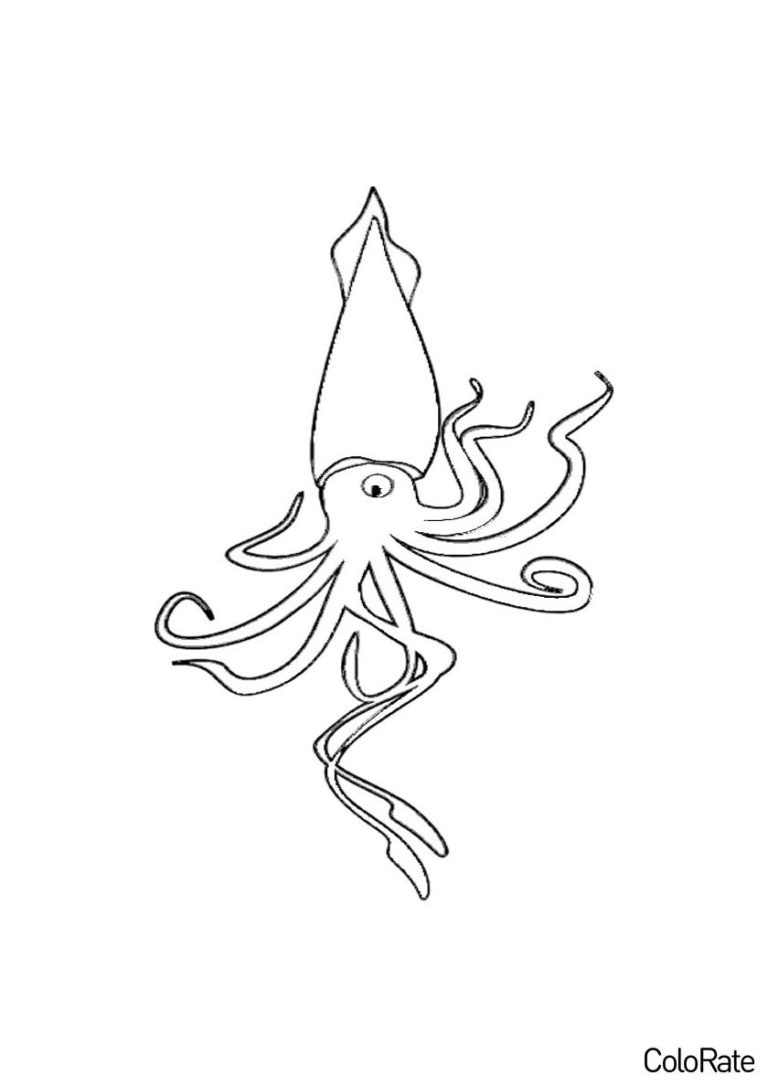 Раскраски Осьминога для детей распечатать на А4 и скачать