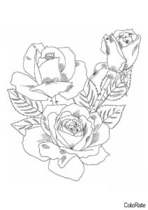 Раскраска Прекрасные розы распечатать на А4 и скачать - Букет цветов