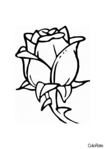 Аккуратная роза распечатать раскраску - Цветы