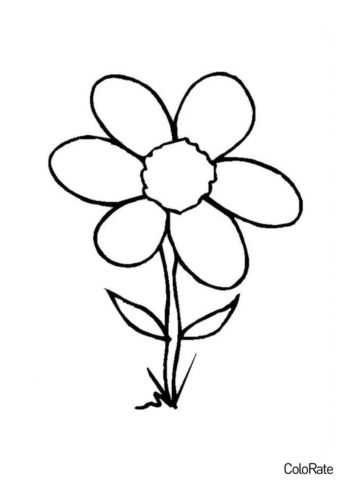 Цветы бесплатная раскраска распечатать на А4 - Стильный цветок