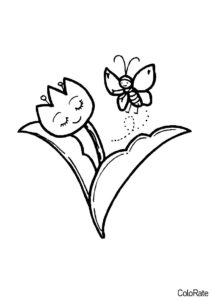 Раскраска Тюльпан и бабочка распечатать на А4 и скачать - Цветы