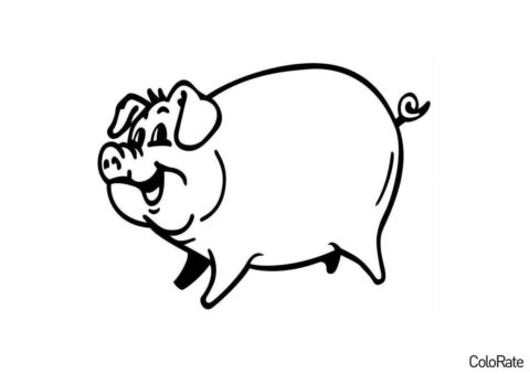 Веселая свинья - Свинки, поросята распечатать раскраску на А4