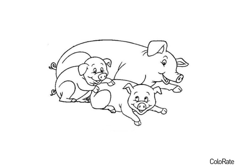 Раскраски Свинья, свинка, поросенок распечатать на А4