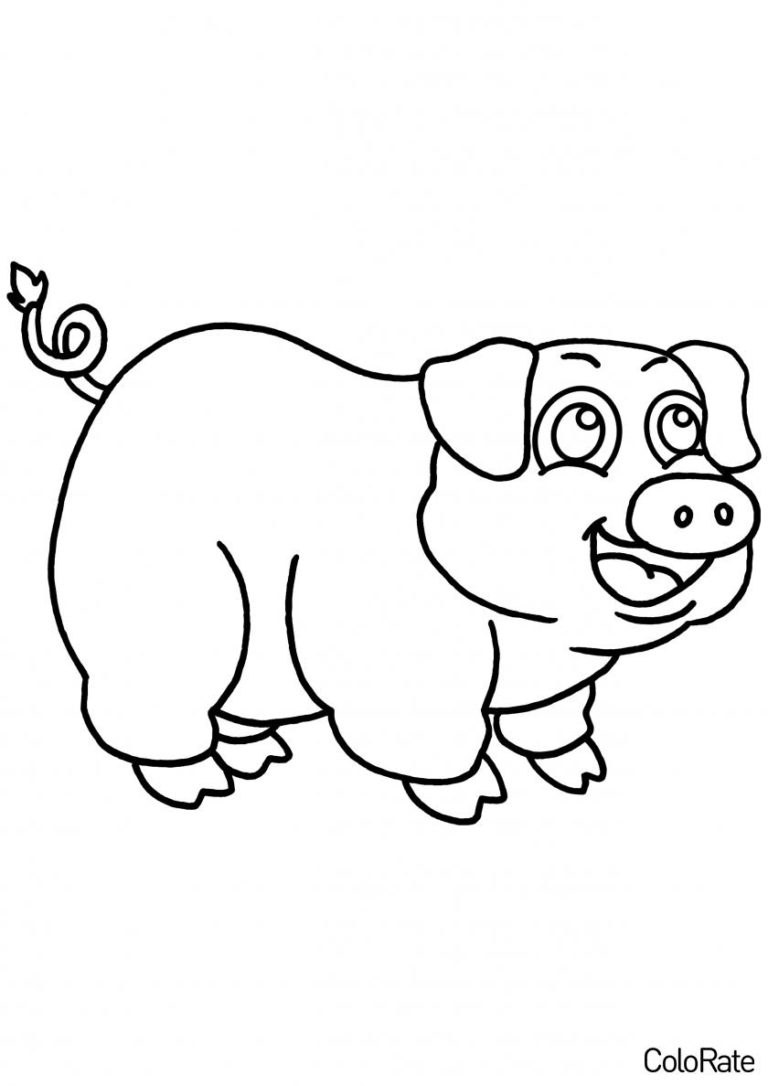 Раскраска Смешной поросёнок распечатать - Свинки, поросята