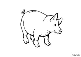 Свинки, поросята бесплатная раскраска распечатать на А4 - Стилизованная свинка