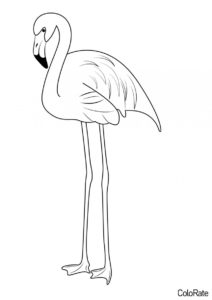 Длинноногая птица распечатать и скачать раскраску - Фламинго