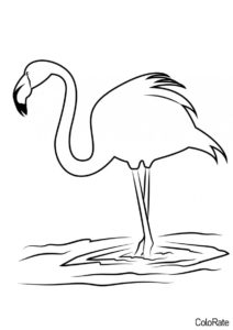 Стоящий в воде фламинго (Фламинго) бесплатная раскраска