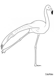 Танец фламинго (Фламинго) распечатать раскраску