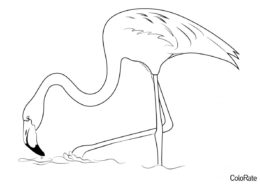 Бесплатная раскраска Большой фламинго распечатать и скачать - Фламинго
