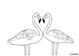 Распечатать раскраску Два милых фламинго - Фламинго