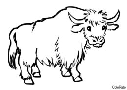 Бесплатная разукрашка для печати и скачивания Буйвол - Коровы, быки, телята