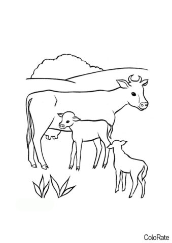 Корова с телятами на пастбище раскраска распечатать и скачать - Коровы, быки, телята