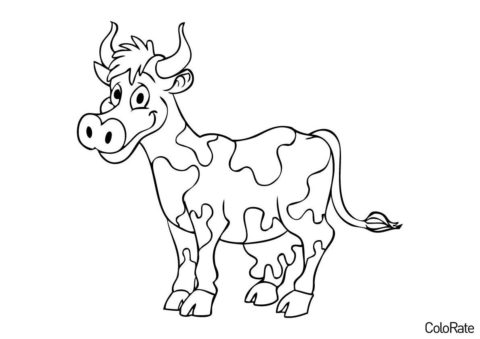 Коровы, быки, телята распечатать раскраску - Милая корова