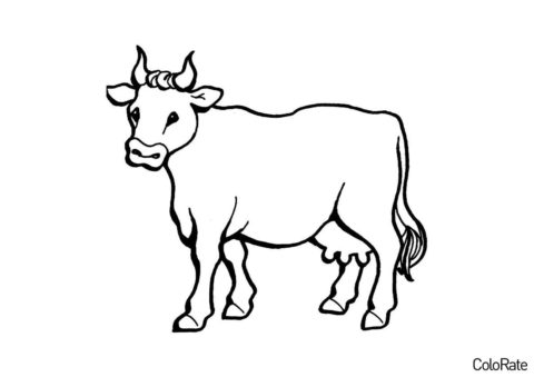 Сельскохозяйственное животное (Коровы, быки, телята) распечатать раскраску