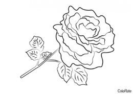 Роза бесплатная раскраска - Роза с листочками