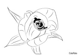 Маленькая роза - Роза раскраска распечатать на А4
