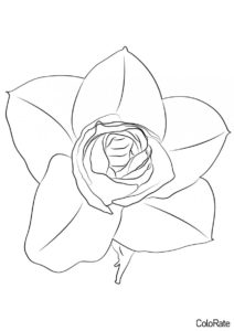 Милая розочка (Роза) бесплатная раскраска