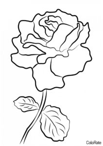 Аккуратная розочка - Роза бесплатная раскраска