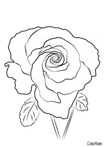 Роза крупным планом бесплатная раскраска - Роза