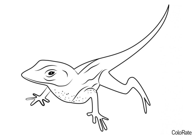 Раскраска Домашняя ящерица распечатать - Ящерицы