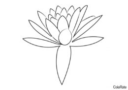 Цветок Лотоса раскраска распечатать и скачать - Лотос