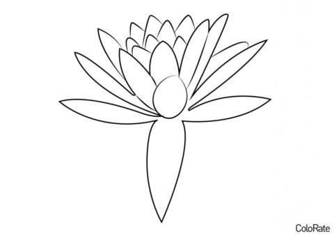 Цветок Лотоса раскраска распечатать и скачать - Лотос