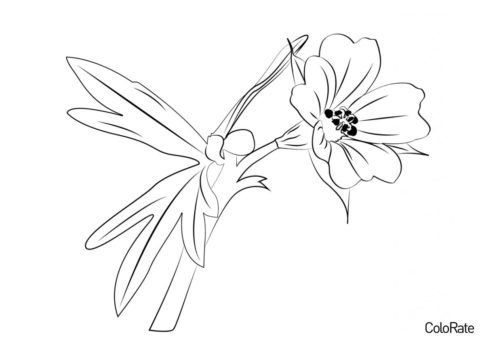Раскраска Цветок Герани - Герань