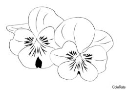 Цветы Сирени - Сирень распечатать раскраску на А4