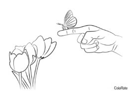 Бабочка и тюльпаны - Бабочки распечатать раскраску на А4