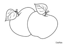 Два яблока с веточками (Яблоко) разукрашка для печати на А4