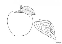 Яблочко и листочек распечатать разукрашку бесплатно - Яблоко