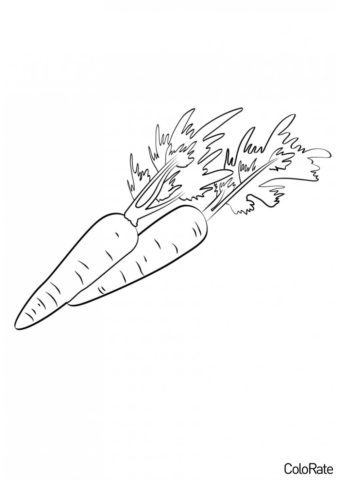 Бесплатная раскраска Морковь для салата - Морковь