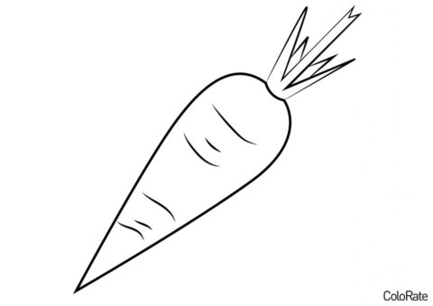 Морковь бесплатная раскраска распечатать на А4 - Аккуратная морковка