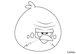 Angry Birds бесплатная раскраска - Теренс
