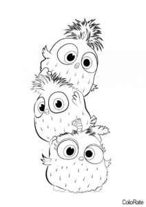 Три птенчика (Angry Birds) распечатать бесплатную раскраску