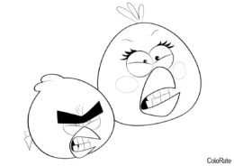 Бесплатная разукрашка для печати и скачивания Две озлобленные птицы - Angry Birds