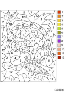 Бесплатная раскраска Овощи и фрукты по номерам - Раскраски по номерам